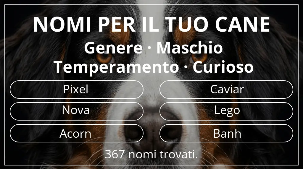 Nomi canini ispirati a genere maschio e temperamento curioso