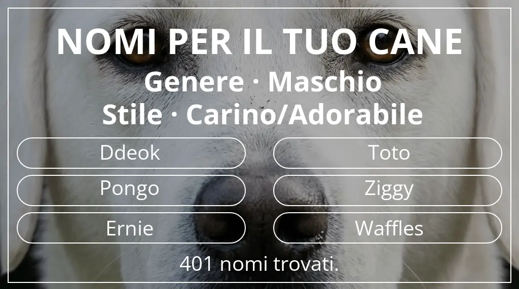 Nomi canini ispirati a genere maschio e stile carino/adorabile