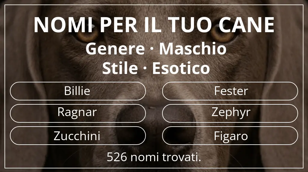 Nomi canini ispirati a genere maschio e stile esotico