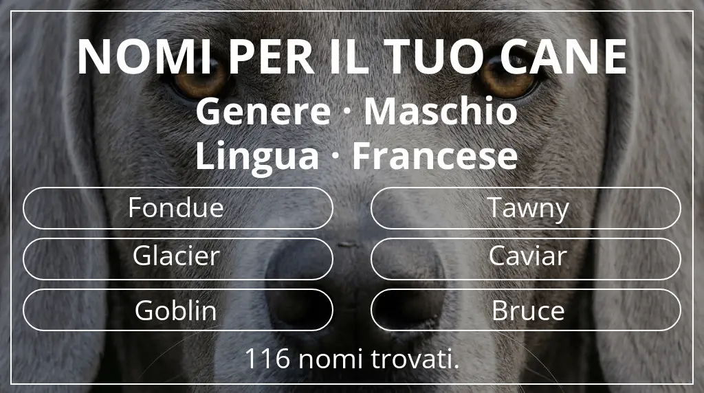 Nomi canini basati su genere maschio e lingua francese