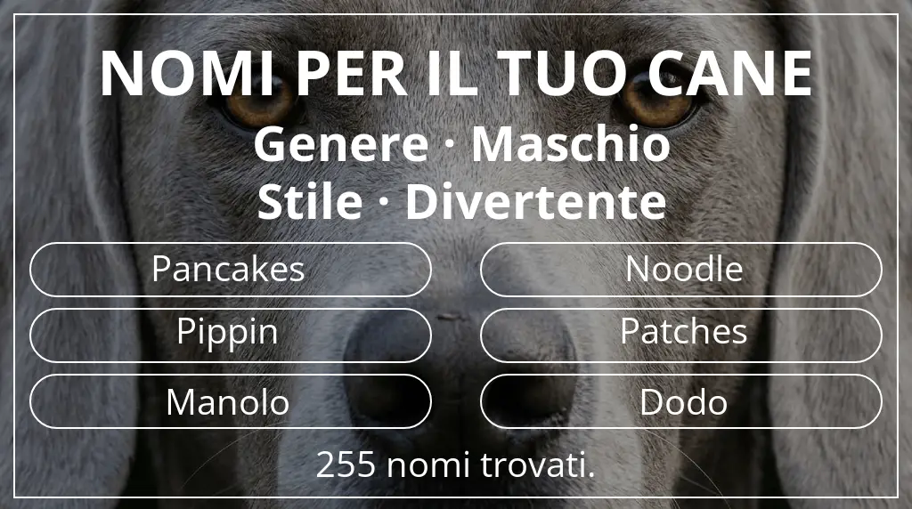 Nomi per cani ispirati a genere maschio e stile divertente