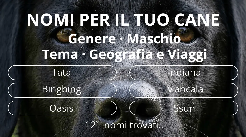 Nomi canini ispirati a genere maschio e tema geografia e viaggi