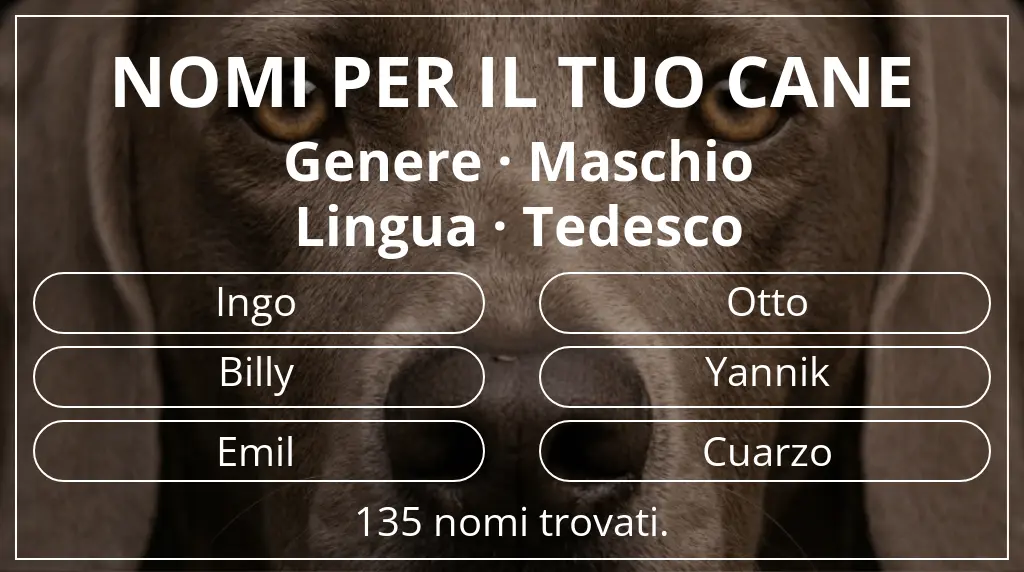 Nomi canini basati su genere maschio e lingua tedesco