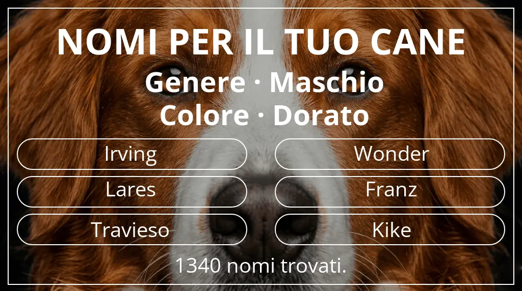 Nomi per cani basati su genere maschio e colore dorato