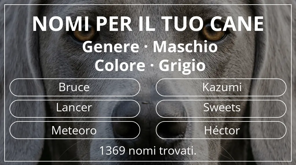 Nomi canini basati su genere maschio e colore grigio