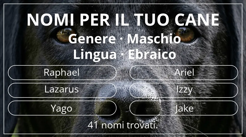 Nomi canini ispirati a genere maschio e lingua ebraico