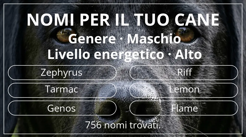 Nomi per cani basati su genere maschio e livello energetico alto