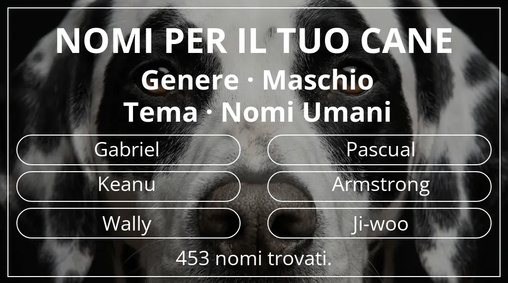 Nomi per cani ispirati a genere maschio e tema nomi umani