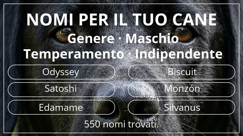 Nomi canini ispirati a genere maschio e temperamento indipendente