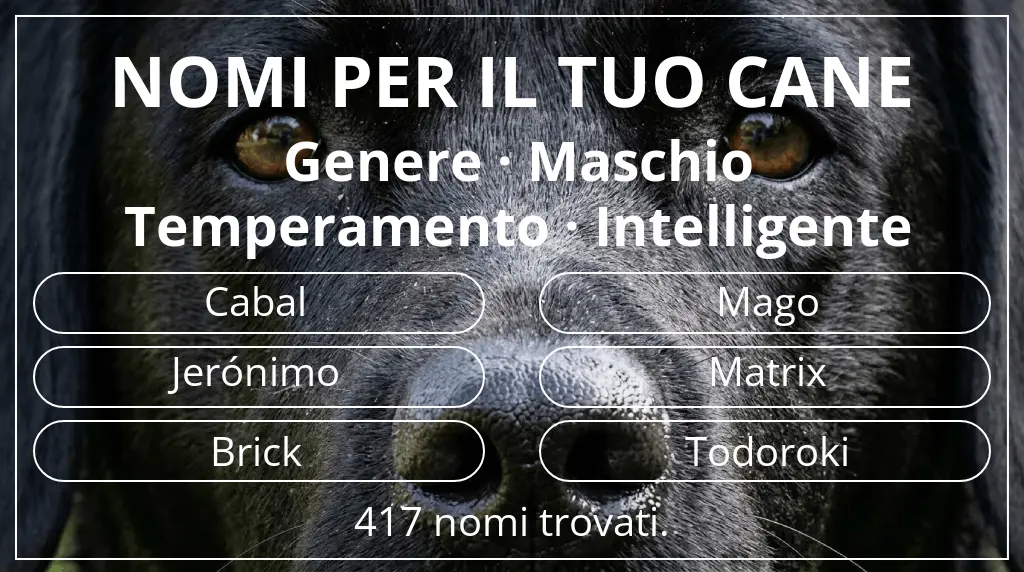 Nomi per cani basati su genere maschio e temperamento intelligente
