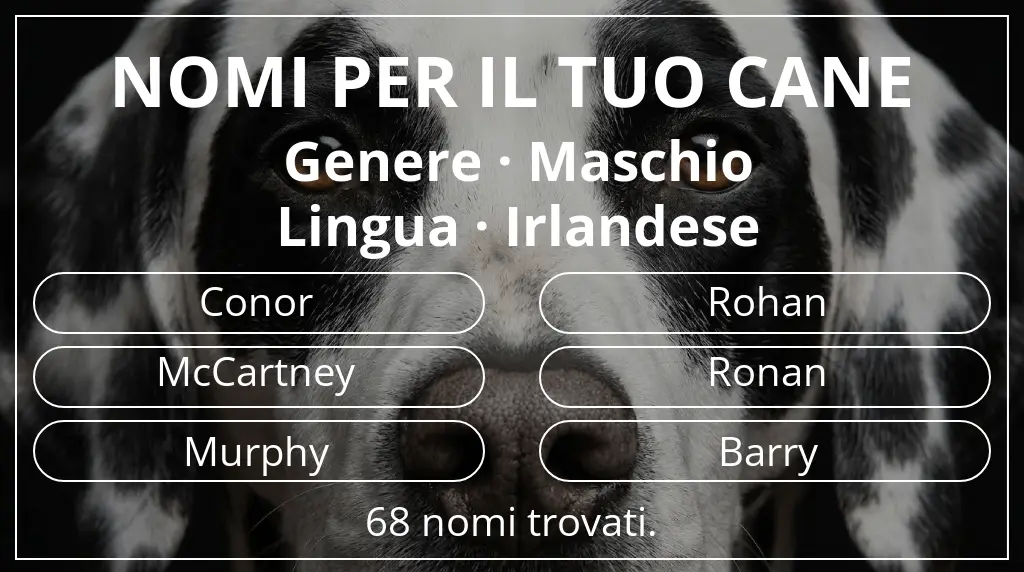 Nomi canini basati su genere maschio e lingua irlandese