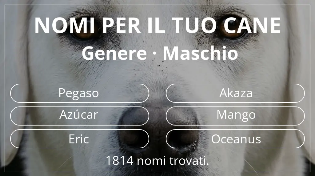 Nomi per cani basati su genere maschio