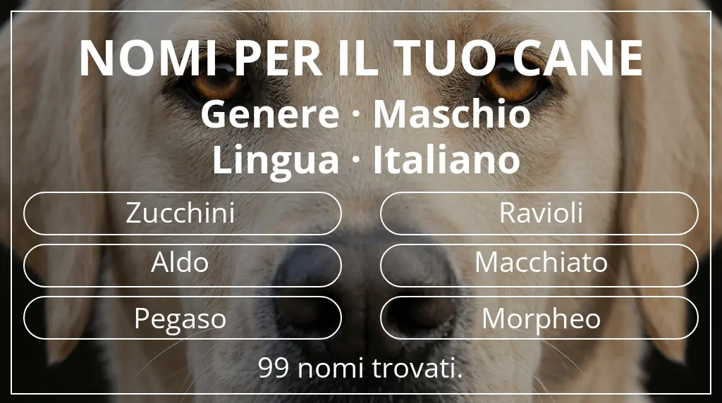 Nomi canini ispirati a genere maschio e lingua italiano