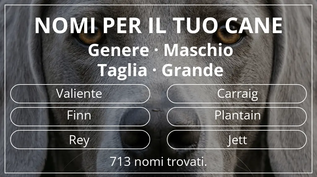 Nomi per cani ispirati a genere maschio e taglia grande
