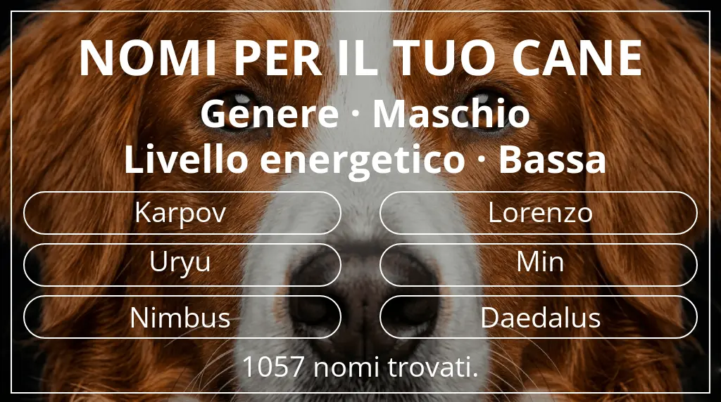 Nomi per cani basati su genere maschio e livello energetico bassa