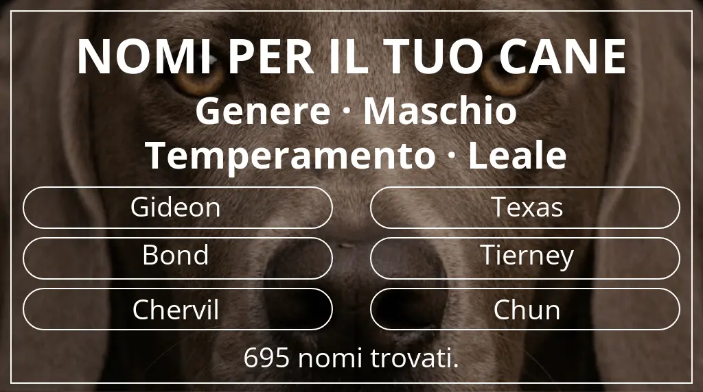 Nomi per cani basati su genere maschio e temperamento leale
