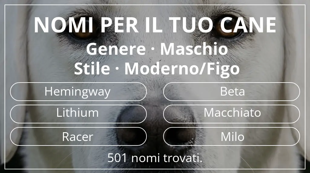 Nomi canini ispirati a genere maschio e stile moderno/figo