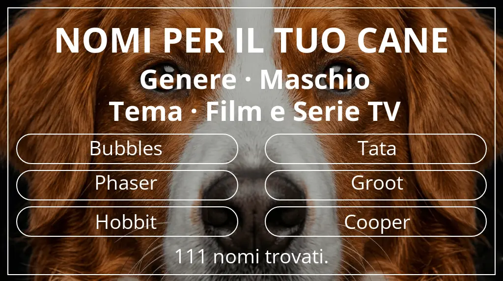 Nomi per cani ispirati a genere maschio e tema film e serie tv