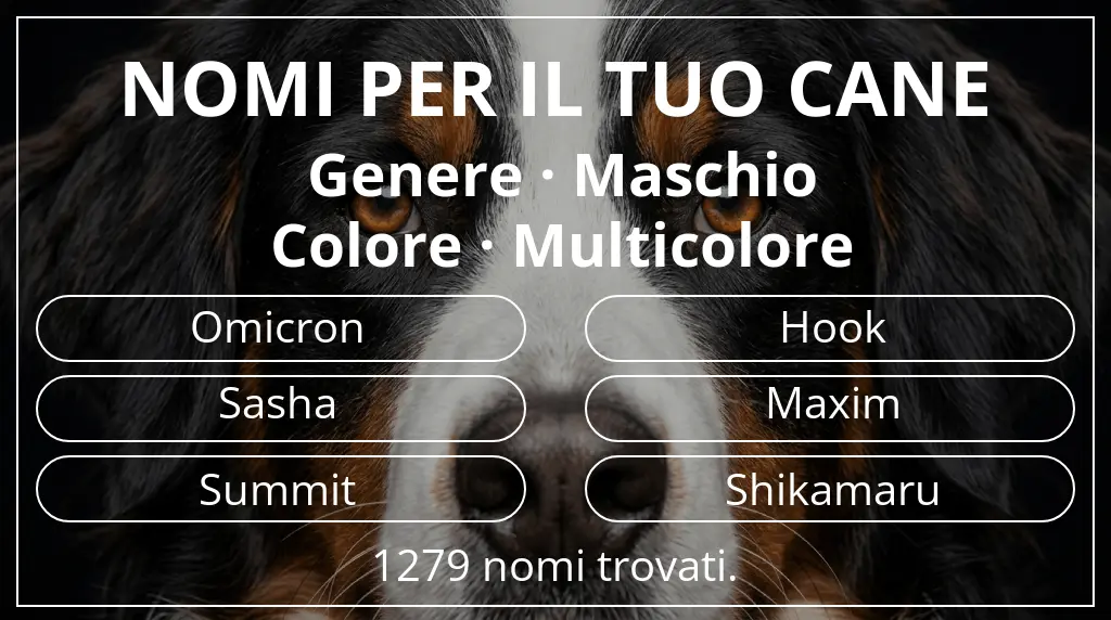 Nomi per cani basati su genere maschio e colore multicolore