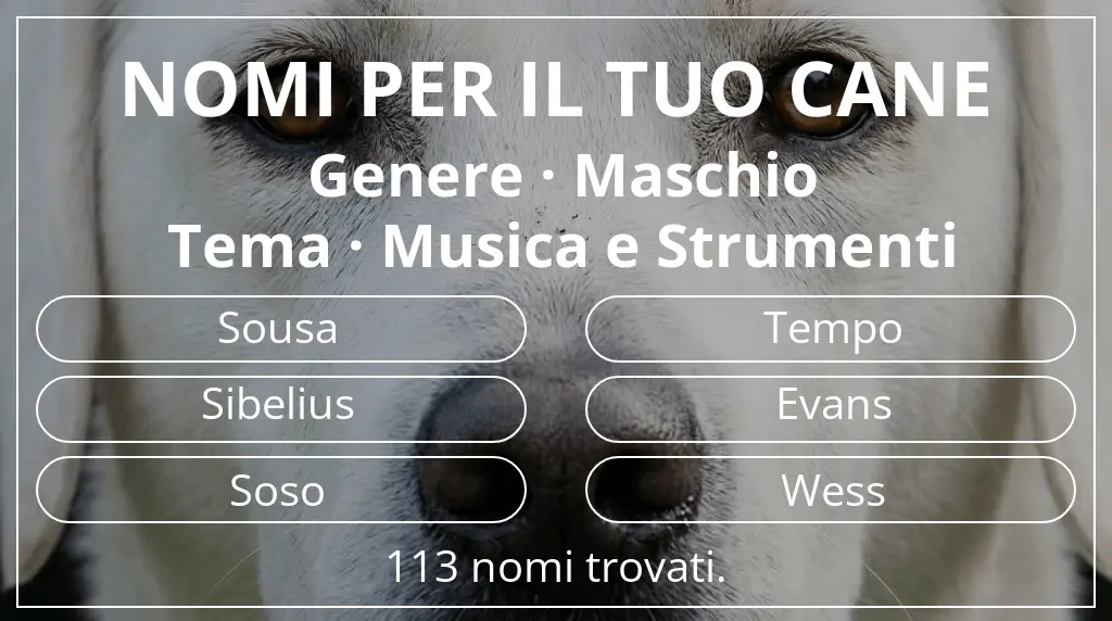 Nomi canini basati su genere maschio e tema musica e strumenti