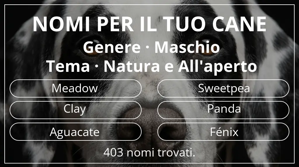 Nomi per cani basati su genere maschio e tema natura e all'aperto