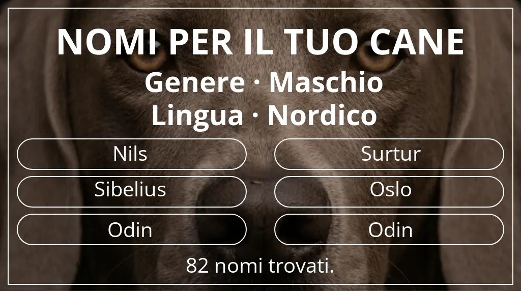 Nomi per cani ispirati a genere maschio e lingua nordico