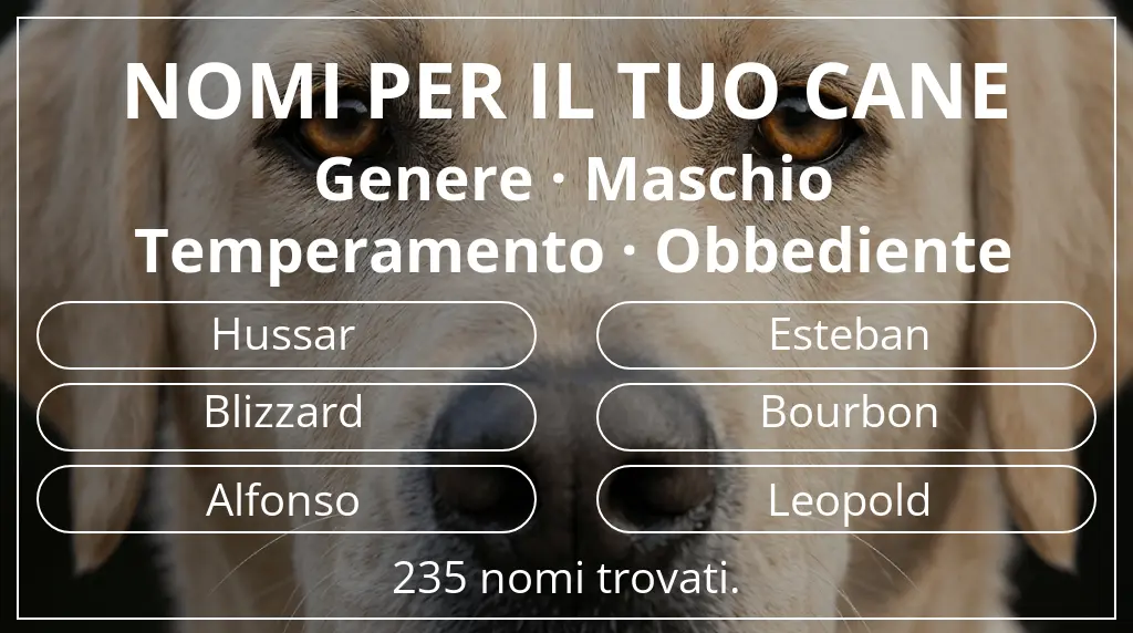 Nomi canini basati su genere maschio e temperamento obbediente