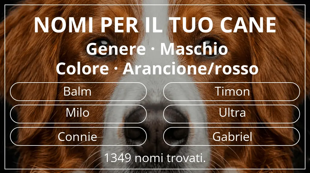 Nomi canini basati su genere maschio e colore arancione/rosso