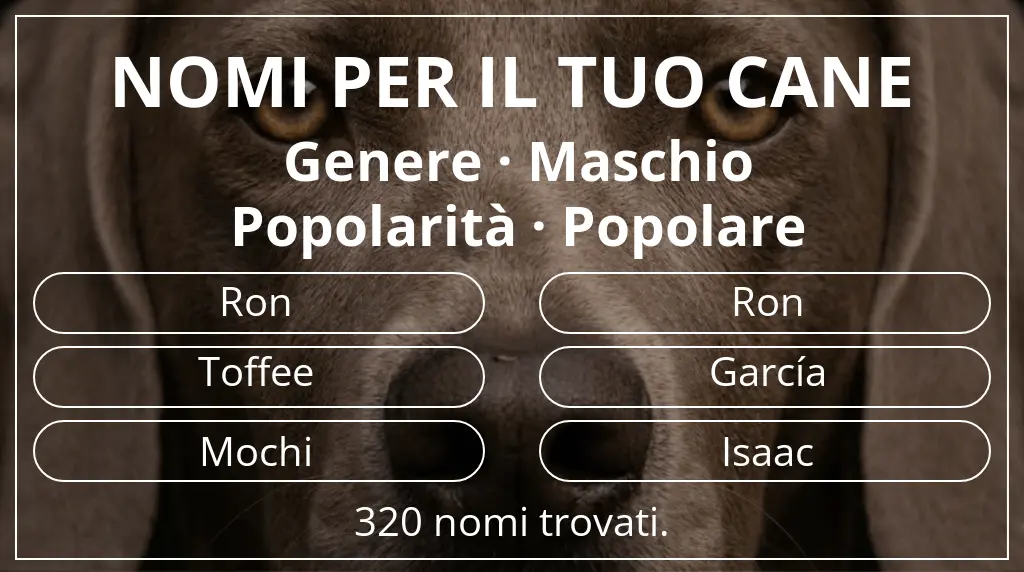 Nomi per cani basati su genere maschio e popolarità popolare