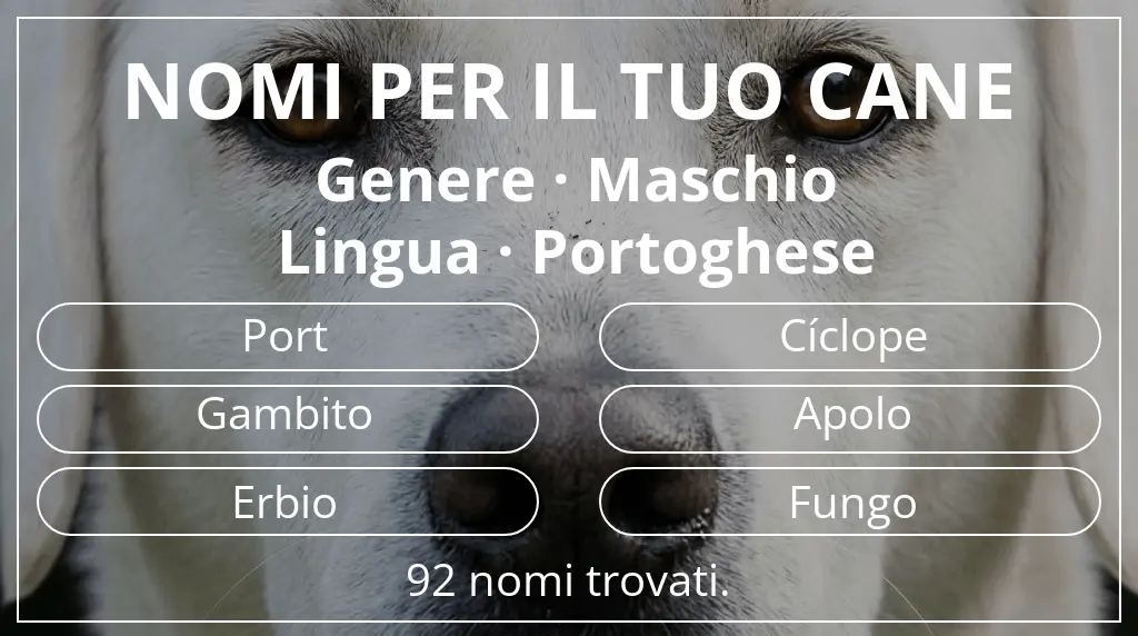 Nomi per cani ispirati a genere maschio e lingua portoghese