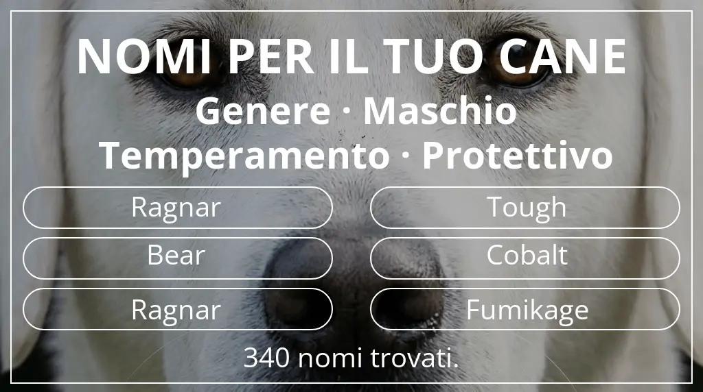 Nomi per cani ispirati a genere maschio e temperamento protettivo