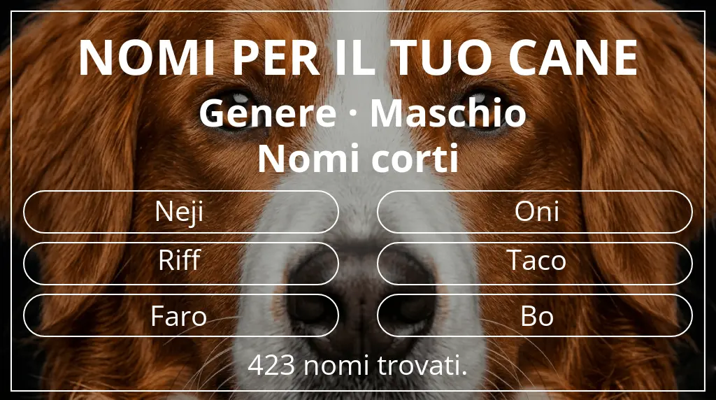 Nomi per cani basati su genere maschio e lunghezza del nome breve (2–4)