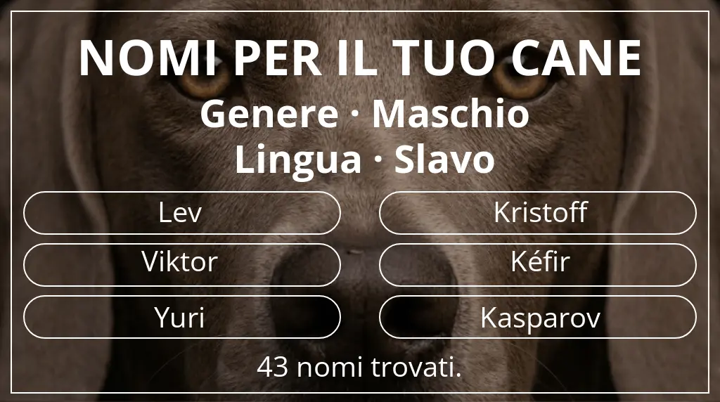 Nomi canini basati su genere maschio e lingua slavo