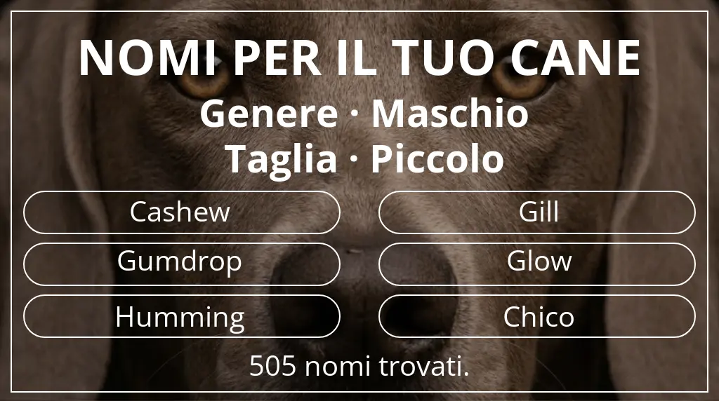 Nomi canini ispirati a genere maschio e taglia piccolo