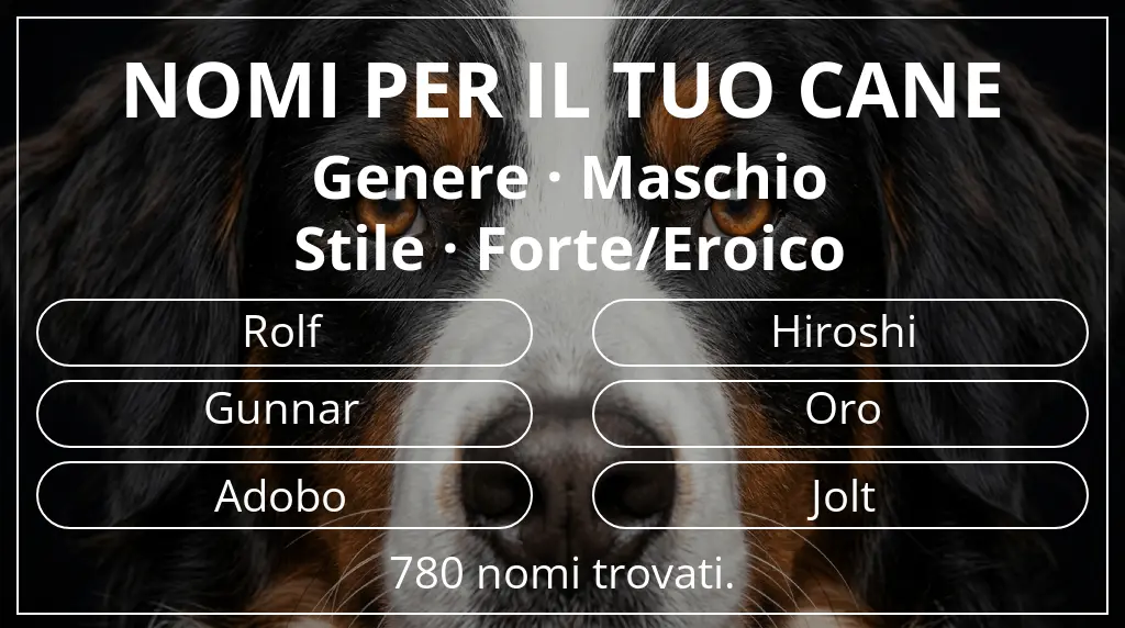 Nomi canini ispirati a genere maschio e stile forte/eroico