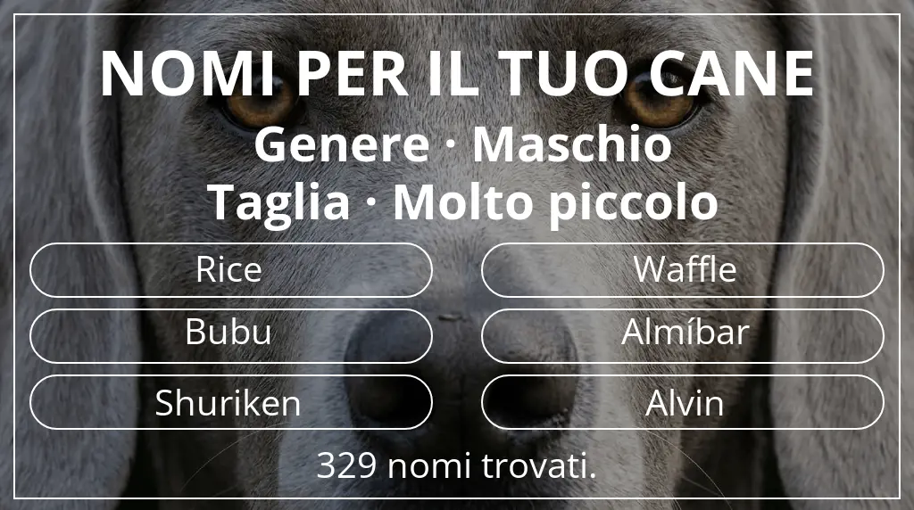 Nomi per cani basati su genere maschio e taglia molto piccolo