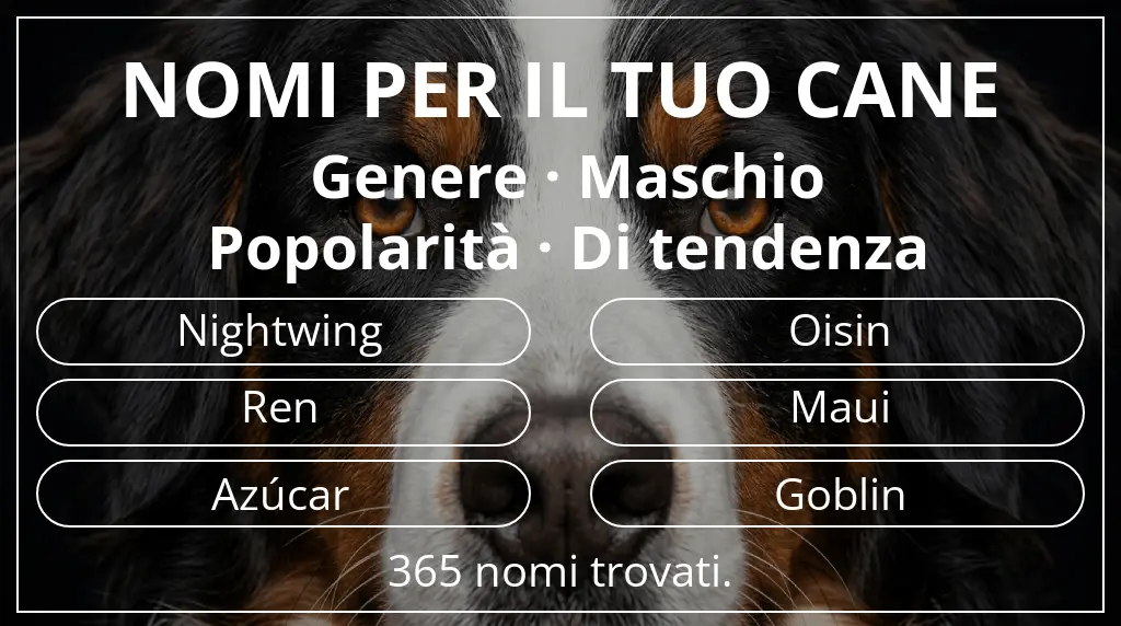 Nomi per cani ispirati a genere maschio e popolarità di tendenza