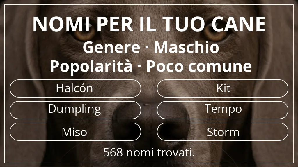 Nomi per cani basati su genere maschio e popolarità poco comune