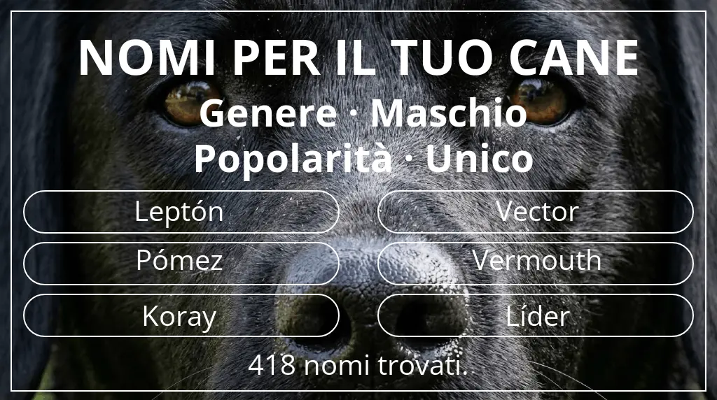 Nomi per cani ispirati a genere maschio e popolarità unico