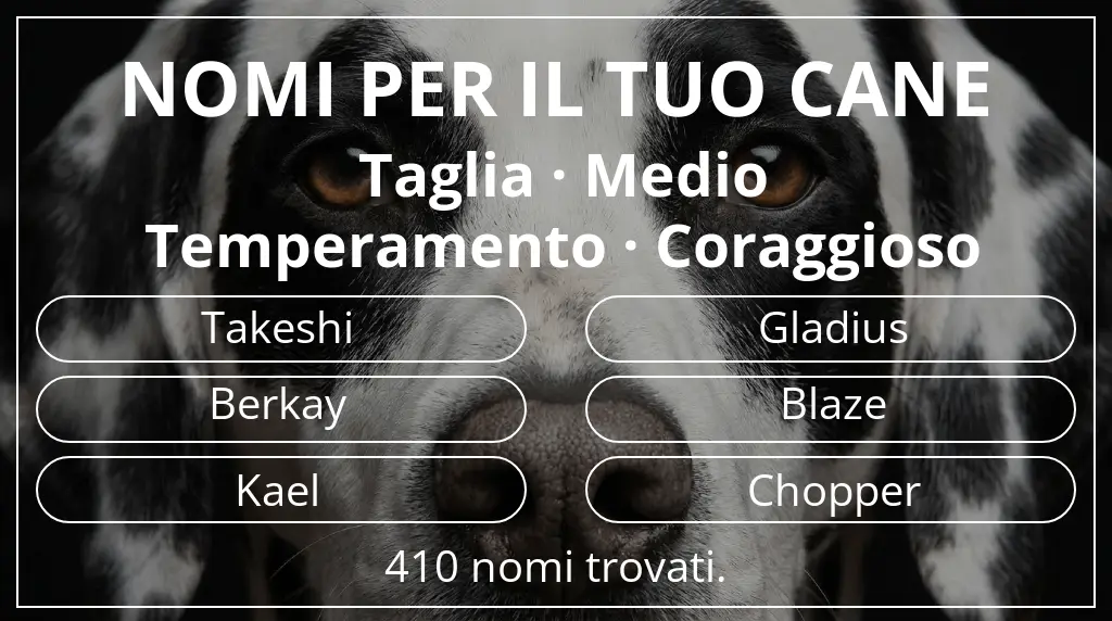 Nomi per cani basati su taglia medio e temperamento coraggioso