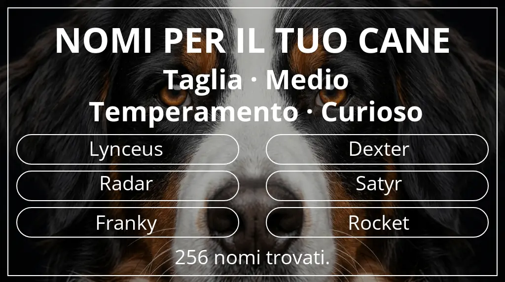 Nomi per cani basati su taglia medio e temperamento curioso