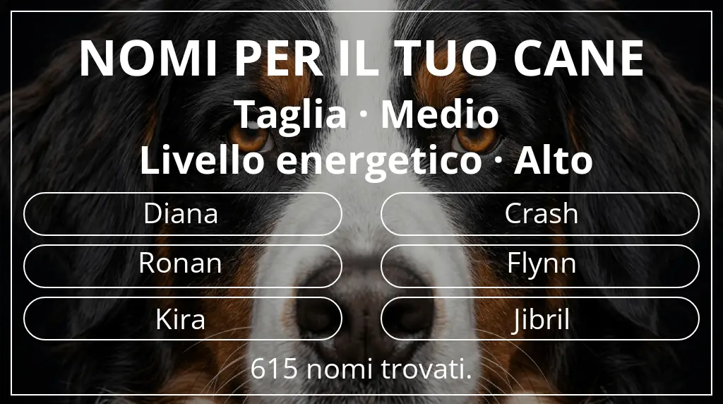 Nomi canini ispirati a taglia medio e livello energetico alto