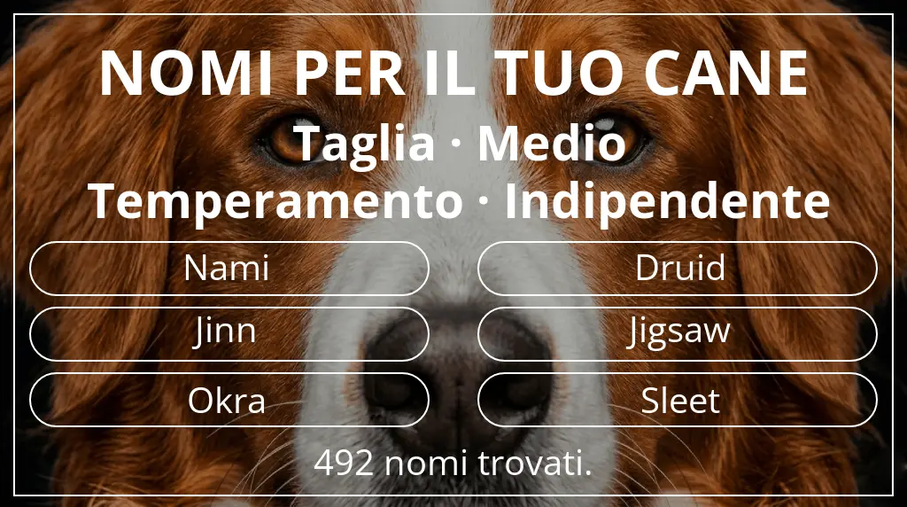 Nomi per cani ispirati a taglia medio e temperamento indipendente