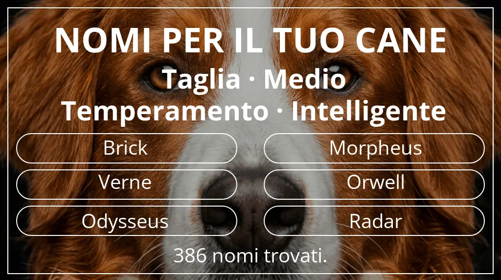 Nomi per cani ispirati a taglia medio e temperamento intelligente