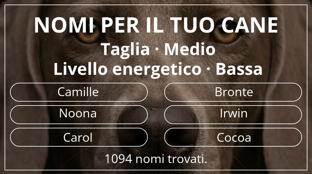 Nomi per cani ispirati a taglia medio e livello energetico bassa