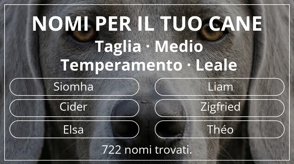 Nomi per cani ispirati a taglia medio e temperamento leale