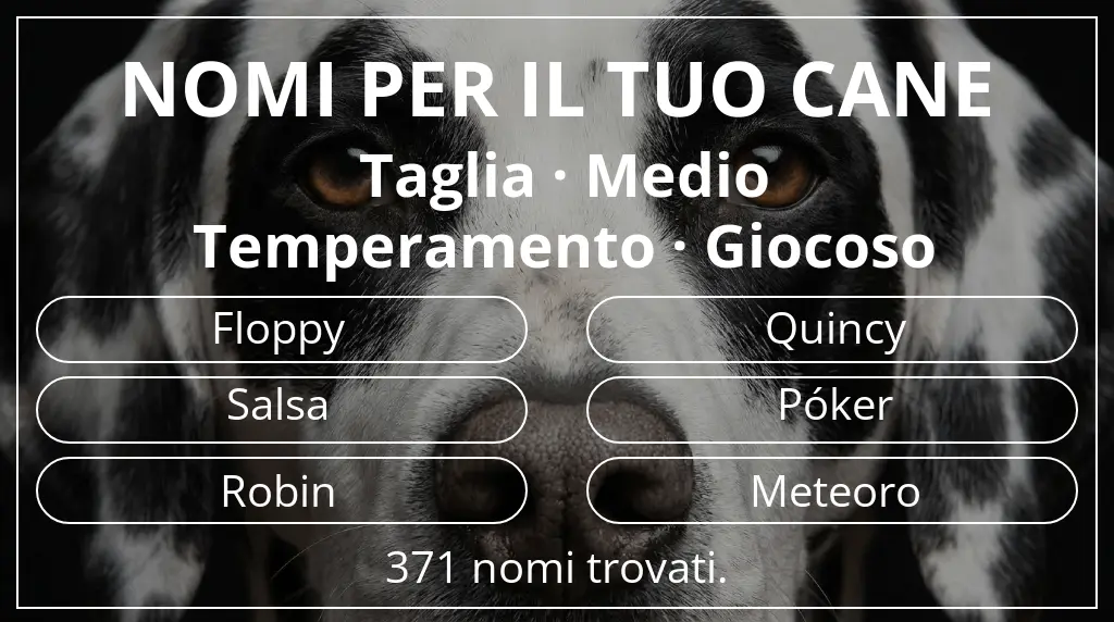 Nomi per cani ispirati a taglia medio e temperamento giocoso