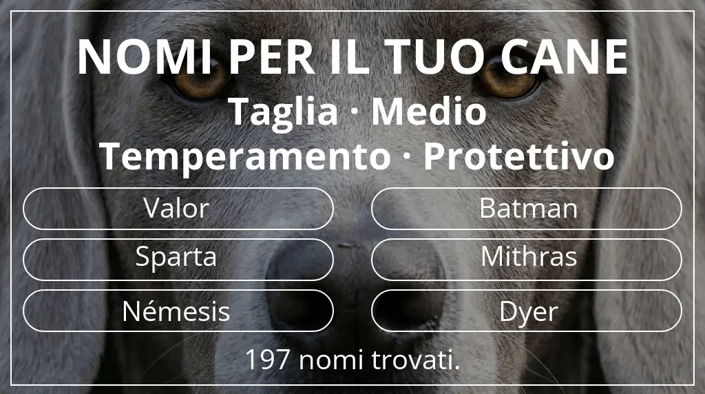 Nomi per cani basati su taglia medio e temperamento protettivo