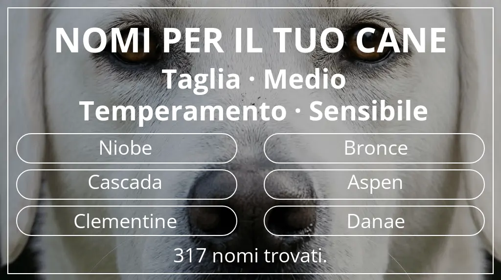 Nomi canini ispirati a taglia medio e temperamento sensibile
