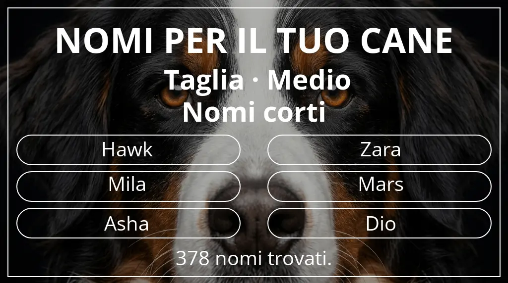 Nomi per cani basati su taglia medio e lunghezza del nome breve (2–4)
